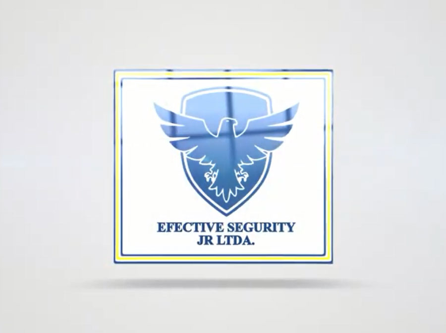 Efective Segurity